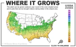 Titan Blueberry - 3 Gallon Pot 8 Titan Blueberry - 3 Gallon Pot -Garden & Outdoors 6a 9a 2