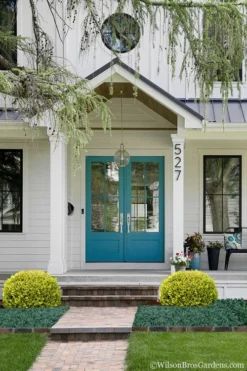 Golden Triumph Variegated Dwarf Boxwood - 1 Gallon Pot -Garden & Outdoors Boxwood Golden Triumph 7 2