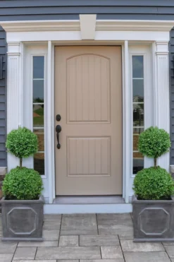 Common Boxwood 2-Ball Poodle Tier Topiary (Buxus Sempervirens) - 3 Gallon Pot (Short) 7 Common Boxwood 2-Ball Poodle Tier Topiary (Buxus Sempervirens) - 3 Gallon Pot (Short) -Garden & Outdoors boxwood two ball poodle tier 2