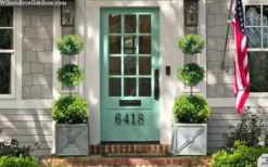 Green Mountain Boxwood 3-Ball Poodle Tier Topiary - 6 Gallon Pot -Garden & Outdoors buxus green mountain 3 ball topiary 20