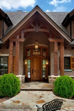 Winterstar Boxwood - 1 Gallon Pot -Garden & Outdoors buxus winterstar boxwood 3